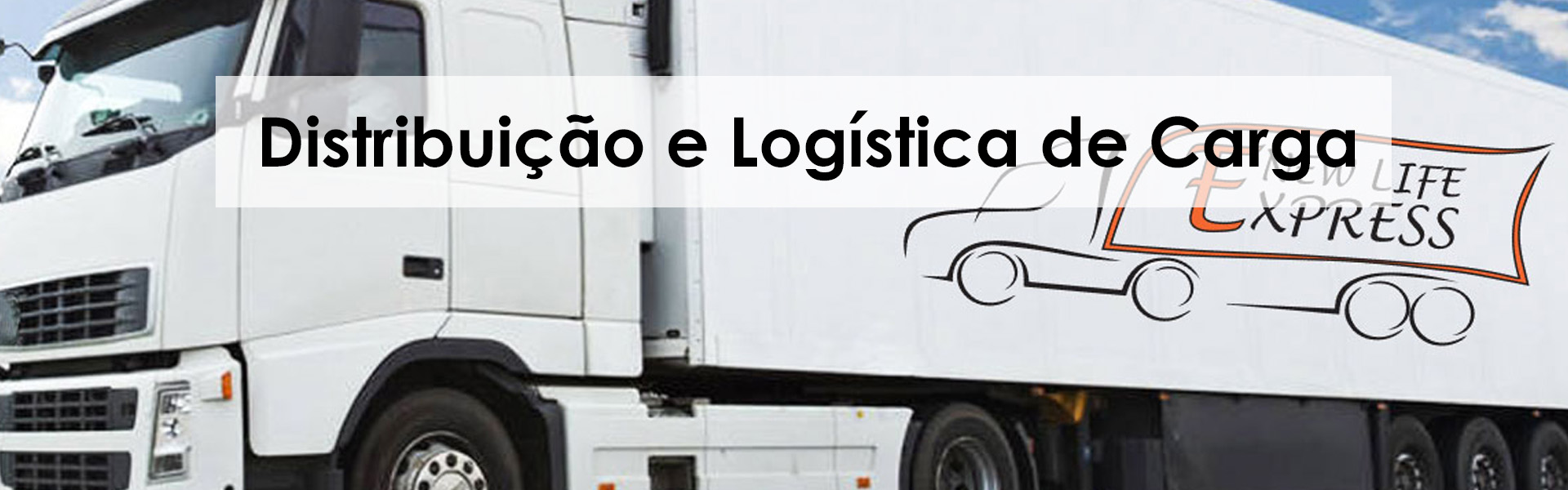 distribuição e logística de cargas em sao paulo